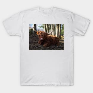 Scottish Highland Cattle Cow 2289 T-Shirt